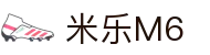 M6体育(米乐体育)中文官方网站 - 中国区安全投注平台